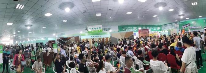 兔寶寶環保行7月29日蘇州站 綠色裝飾，感恩回饋